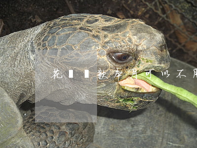 花唄還款本月可以不用還完了嗎-