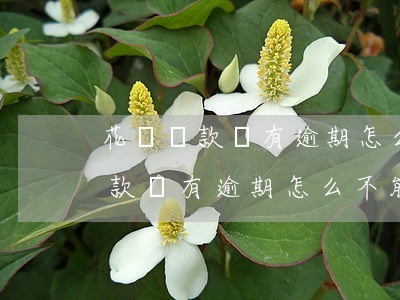 花唄還款沒有逾期怎么不能使用了-花唄還款沒有逾期怎么不能使用了呢