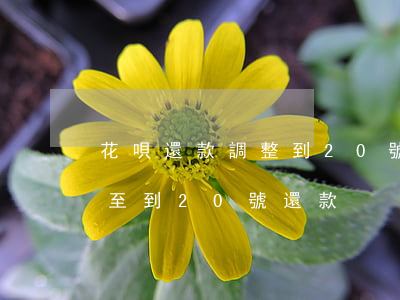 花唄還款調整到20號還款怎么還-花唄調至到20號還款