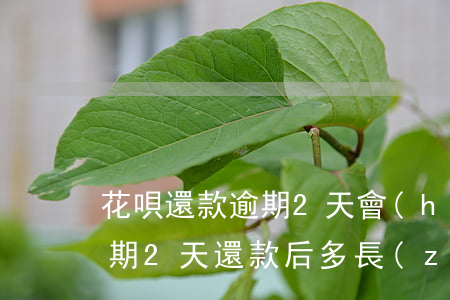 花唄還款逾期2天會(huì)怎樣(花唄逾期2天還款后多長(zhǎng)時(shí)間可以使用)
