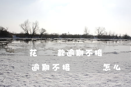 花唄還款逾期不接電話會怎么樣-花唄還款逾期不接電話會怎么樣處理