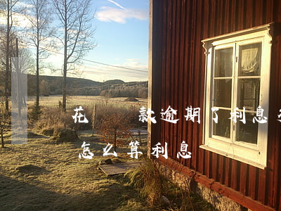 花唄還款逾期了利息多少(花唄還款日期超了怎么算利息)