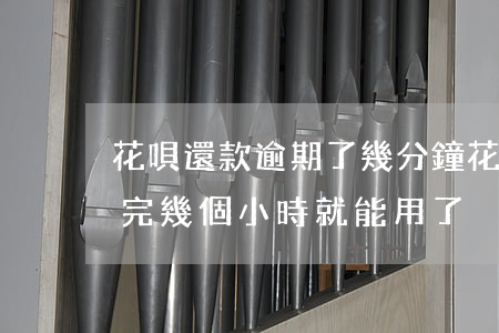 花唄還款逾期了幾分鐘(花唄逾期3天后還款完 幾個小時就能用了)
