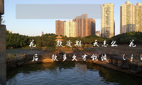 花唄還款逾期兩天怎么辦(花唄逾期兩個多月后還款多久才能恢復(fù)使用啊)
