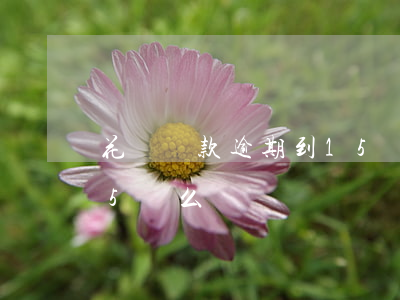 花唄還款逾期到15號么(花唄還款逾期到15號么)