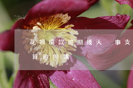 花唄還款逾期幾天沒事(支付寶花唄晚還1天算逾期嗎)