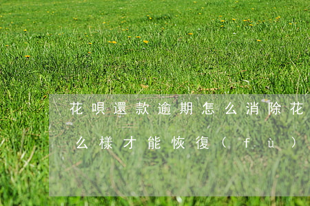 花唄還款逾期怎么消除 花唄逾期還完了要怎么樣才能恢復(fù)使用