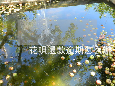 花唄還款逾期怎么辦
