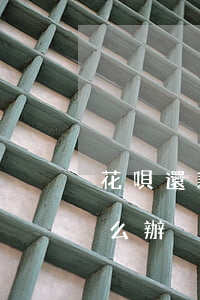 花唄還款逾期怎信用卡(花唄和信用卡逾期怎么辦)