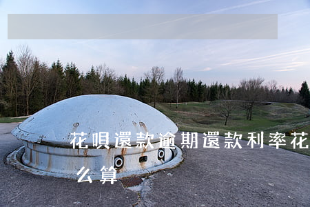 花唄還款逾期還款利率(花唄超期還款利息怎么算)