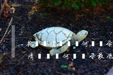 花唄還清賬單為何還顯示最低還款-花唄還清賬單為何還顯示最低還款額