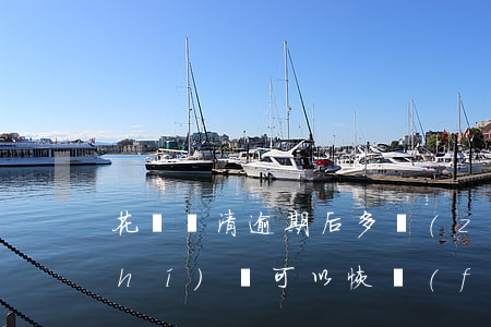 花唄還清逾期后多長(zhǎng)時(shí)間可以恢復(fù)-花唄還清逾期后多長(zhǎng)時(shí)間可以恢復(fù)使用