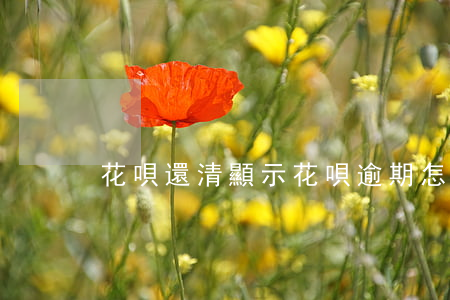 花唄還清顯示花唄逾期怎么回事-