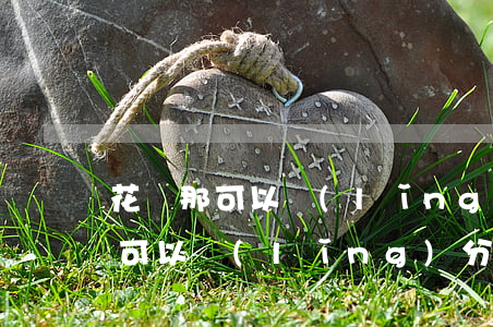 花唄那可以領(lǐng)分期免息 花唄那可以領(lǐng)分期免息