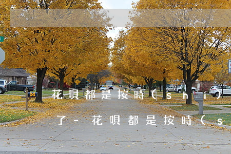 花唄都是按時(shí)還款的為啥還逾期了-花唄都是按時(shí)還款的為啥還逾期了呢
