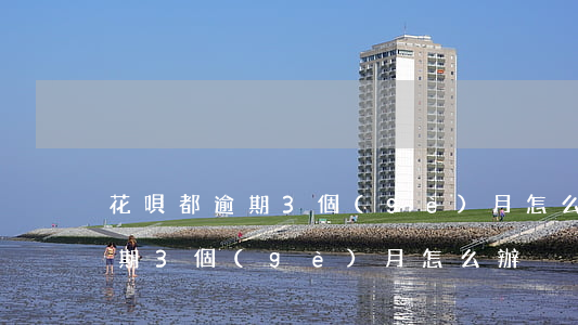 花唄都逾期3個(gè)月怎么辦(花唄都逾期3個(gè)月怎么辦)