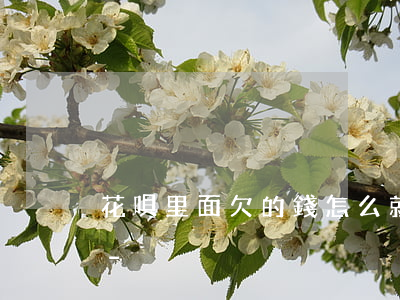 花唄里面欠的錢怎么就還進(jìn)去了-