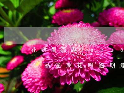 花唄里面說(shuō)我有產(chǎn)品逾期(花唄逾期還清了為什么還顯示有產(chǎn)品逾期)