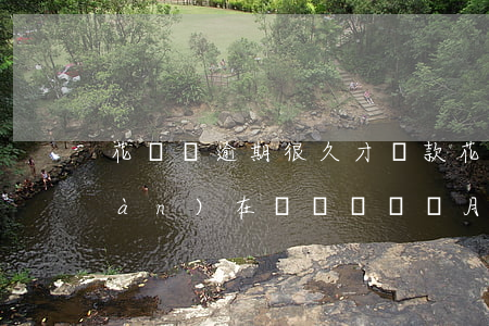 花唄錢逾期很久才還款(花唄逾期了現(xiàn)在沒錢還幾個月以后還可以嗎)