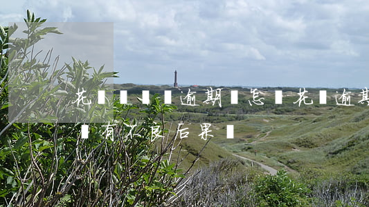 花唄長時間逾期會怎樣(花唄逾期了幾個小時會有不良后果嗎)