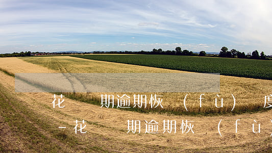 花唄長期逾期恢復(fù)額度可以使用嗎-花唄長期逾期恢復(fù)額度可以使用嗎安全嗎