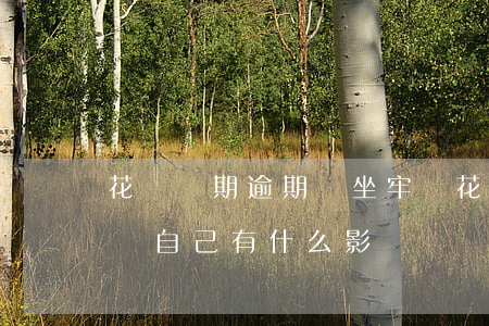 花唄長期逾期會坐牢嗎(花唄逾期長期不還會對自己有什么影響)