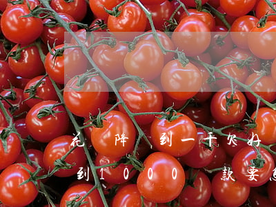 花唄降額到一千欠好幾千怎么還-花唄降額到1000還款要怎么還