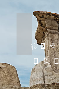 花唄降額大部分逾期(花唄被降額了還能最低還款嗎)