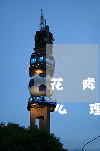 花唄降額無(wú)力償還（花唄降額逾期怎么辦理）