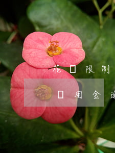 花唄限制使用是備用金逾期惹的禍-花唄因備用金逾期無(wú)法使用有什么影響