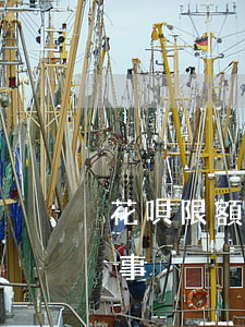花唄限額跟逾期有關系嗎(花唄限額是怎么回事)