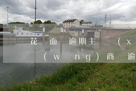 花唄面臨逾期主動協(xié)商(花唄借唄網(wǎng)商貸逾期會被聯(lián)合訴訟嗎)