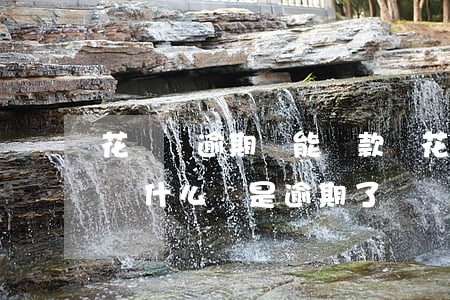 花唄預逾期還能貸款嗎(花唄申請了延期還款為什么還是逾期了)