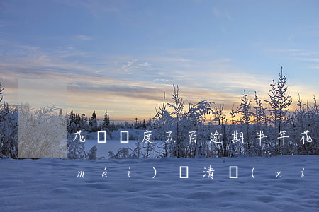 花唄額度五百逾期半年(花唄逾期幾年了沒(méi)還清,現(xiàn)在又有500額度)