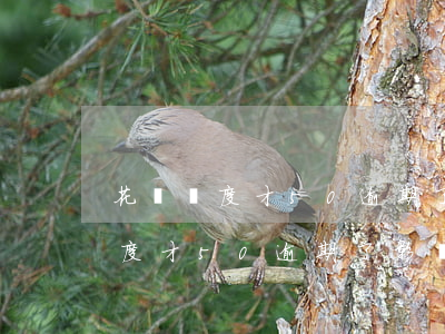 花唄額度才50逾期了影響征信嗎-花唄額度才50逾期了影響征信嗎怎么辦