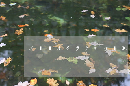 花唄額度是多少(支付寶花唄額度是多少)