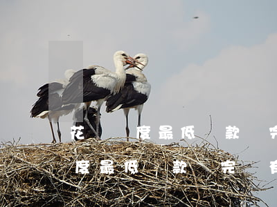 花唄額度最低還款還完會有額度嗎-花唄額度最低還款還完會有額度嗎怎么辦