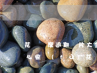 花唄額度逾期圖片大全(支付寶花唄逾期了怎么恢復(fù)花唄額度)