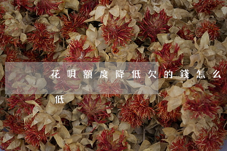 花唄額度降低欠的錢怎么還(花唄還了額度降低)