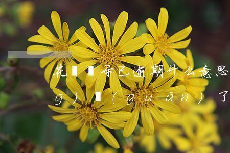 花唄顯示已逾期什么意思(花唄已經(jīng)關(guān)了但是說有逾期還款是什么意思)