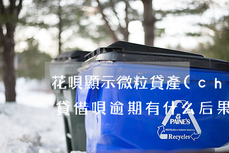花唄顯示微粒貸產(chǎn)品逾期(微粒貸借唄逾期有什么后果)