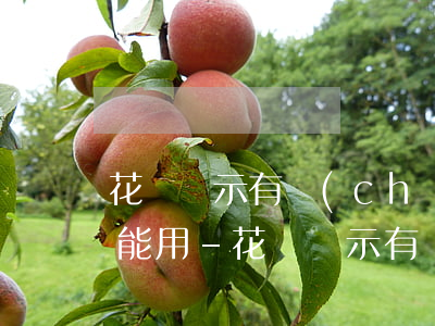 花唄顯示有產(chǎn)品逾期什么時候能用-花唄顯示有產(chǎn)品逾期什么時候能用啊