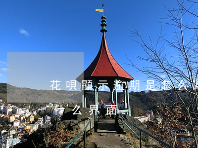 花唄顯示逾期是怎么回事(支付寶花唄逾期是什么界面)