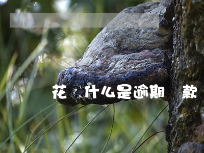 花壩什么是逾期還款