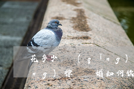 花多少錢請(qǐng)離婚律師(請(qǐng)律師離婚如何收費(fèi))