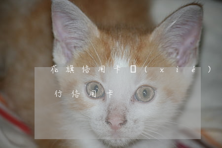 花旗信用卡協(xié)商招商(申請花旗銀行信用卡)