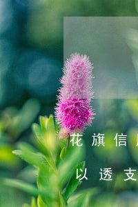 花旗信用卡可以透支額度嗎(為什么信用卡可以透支額度)