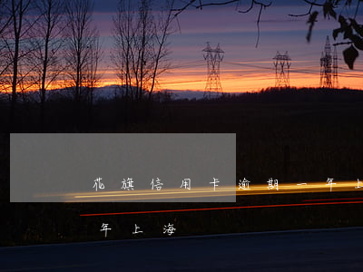 花旗信用卡逾期一年上海(花旗信用卡逾期一年上海)