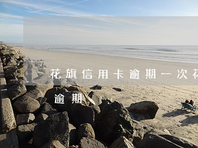 花旗信用卡逾期一次(花旗银行信用卡8万已逾期)