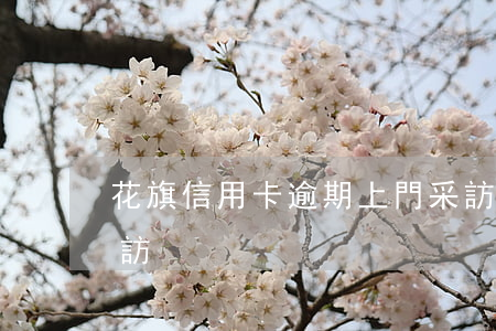 花旗信用卡逾期上門采訪(信用卡逾期上門回訪)